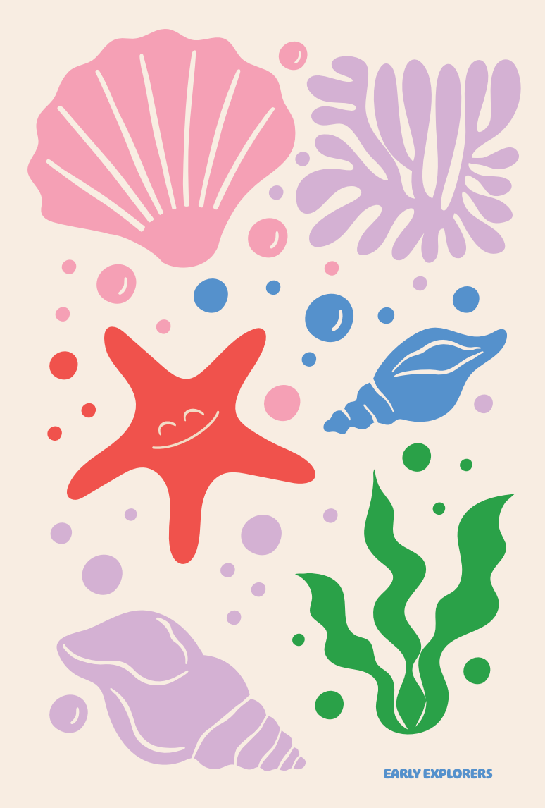 Kindergarten-1st Grade